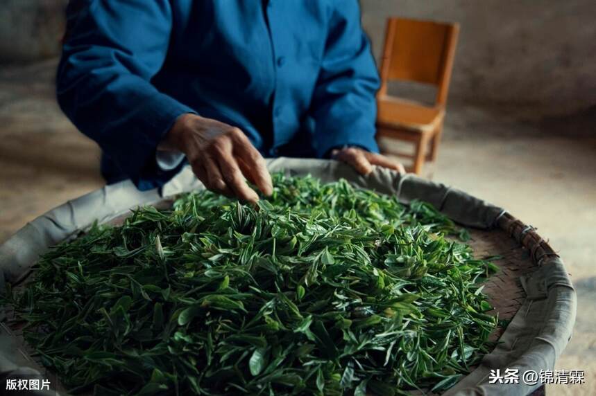 茶树生长环境对茶的品质影响有多大？
