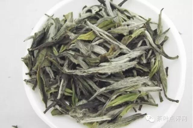 茶理王|专家说：白茶的保健功效
