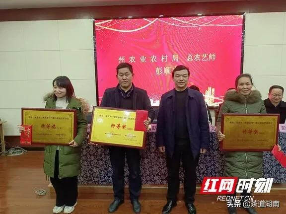 湘西州“湘西香伴”第二届名优茶评比颁奖仪式举行
