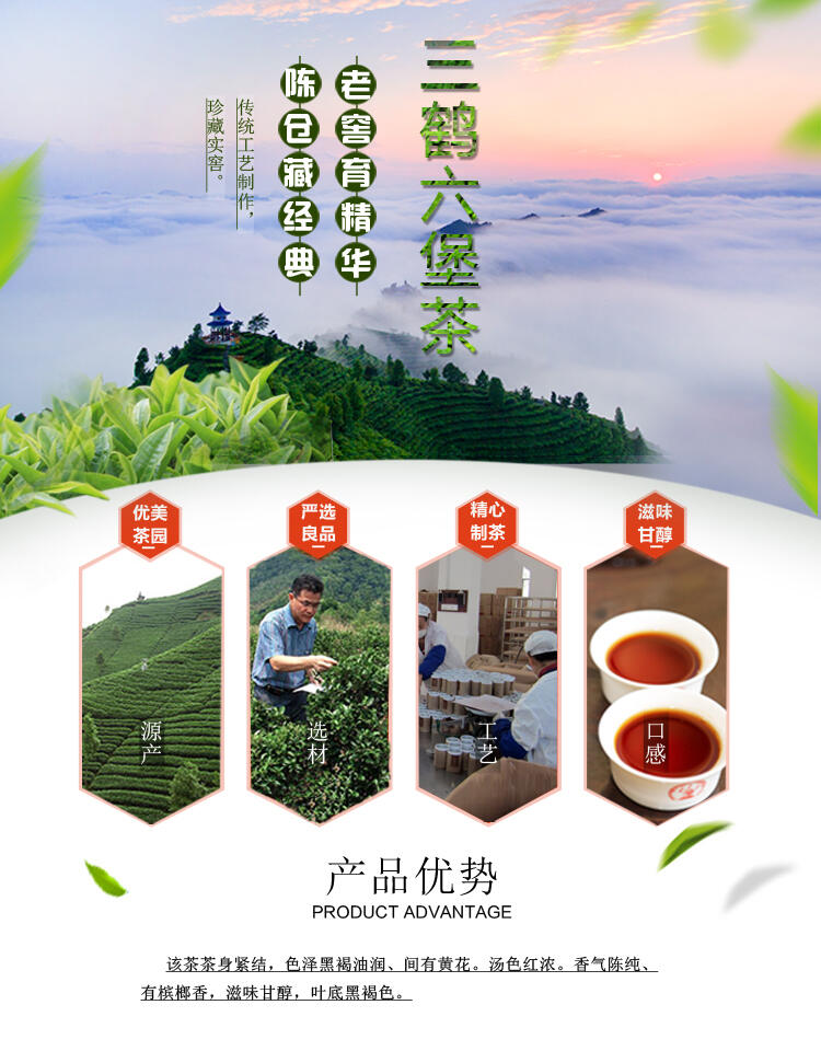 三鹤2014年二级古铜罐六堡茶黑茶叶广西特产200g