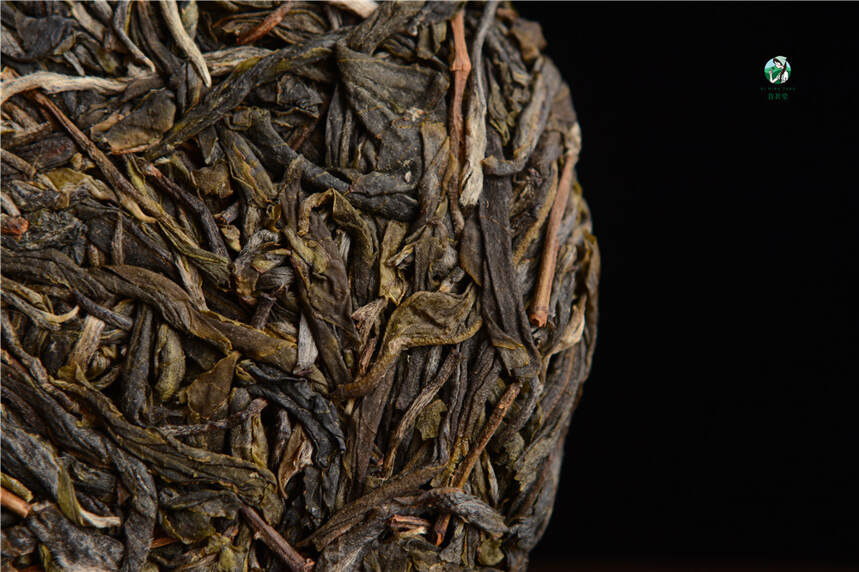 选购普洱春茶时，条索中隐藏着哪些“秘密”？