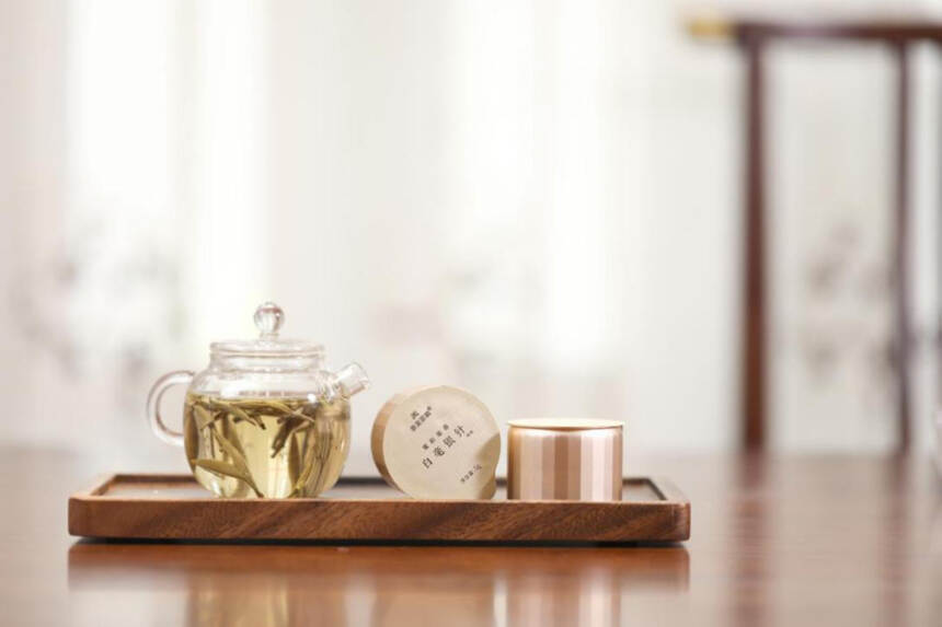 白茶跟红茶、绿茶、黑茶区别在哪儿？