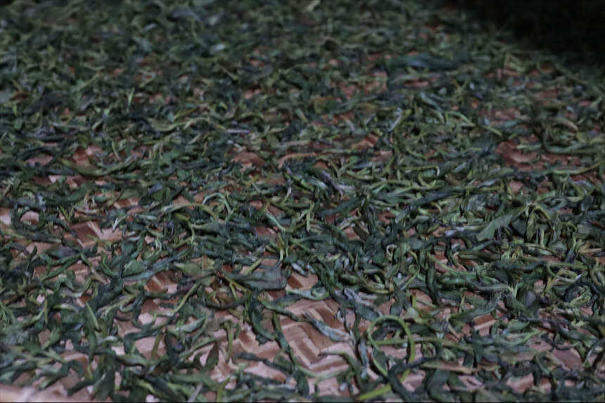 一文告诉你普洱茶的制作工艺与茶叶品质的关系