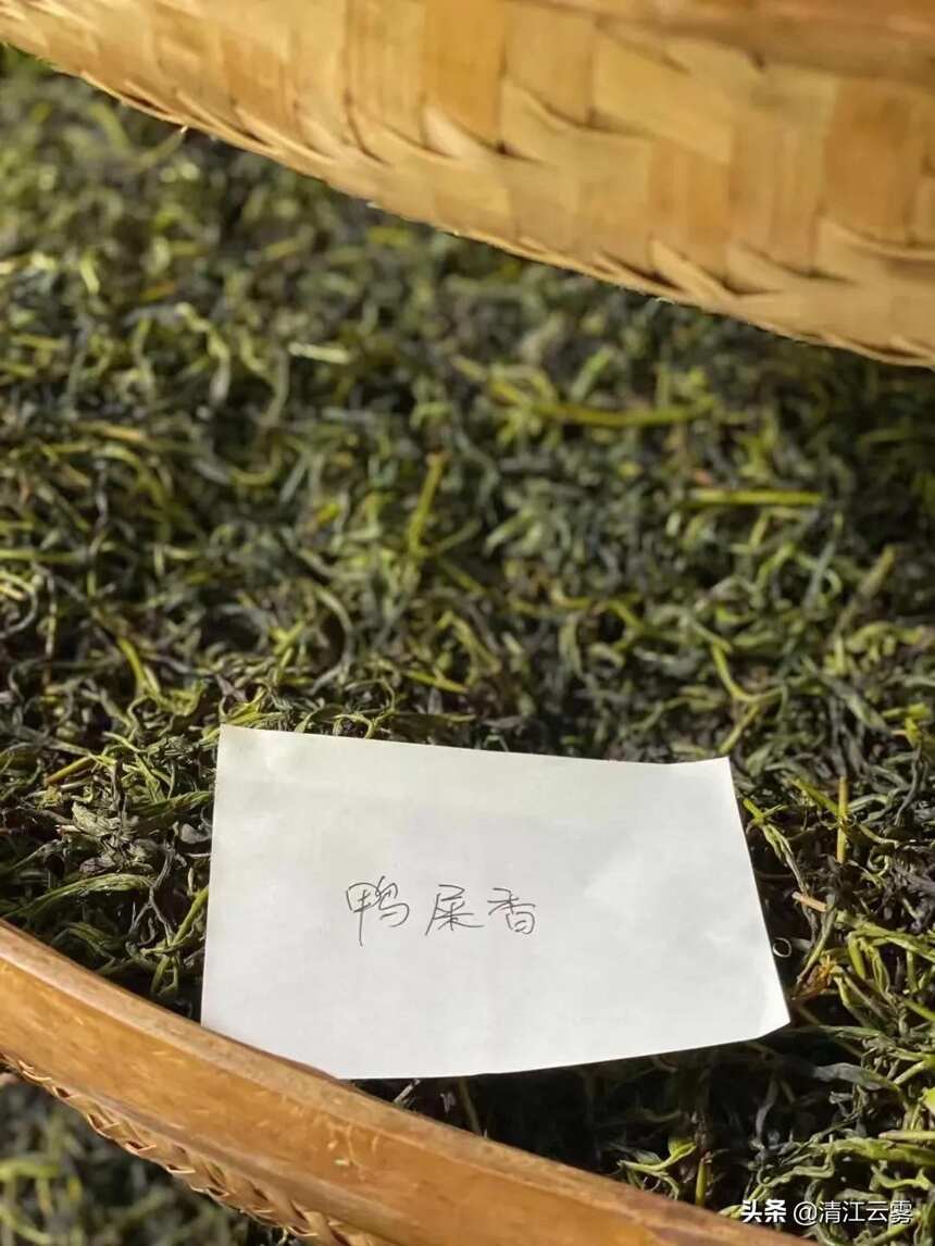 潮汕城老，单丛香浓。凤凰水仙，乌岽古茶，百年流香