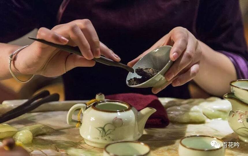 干货丨普洱茶的“最优冲泡定律”，成就一盏好茶！