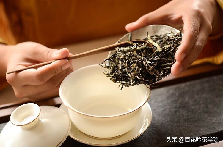 茶知识｜普洱茶汤浑浊是因为茶叶不好吗？