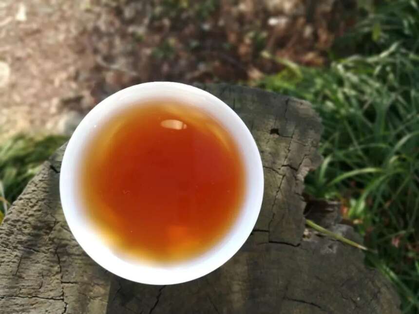 茶知识乌龙茶，新知识，原来还有小品种茶这一说？