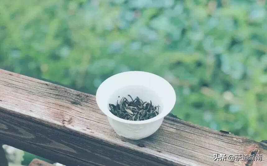单株、古树、假茶……竟是乾隆朝茶文化关键词
