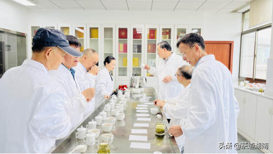 五彩湘茶“五进”行动、湘派茶馆选品工作在湖南省茶业集团举行
