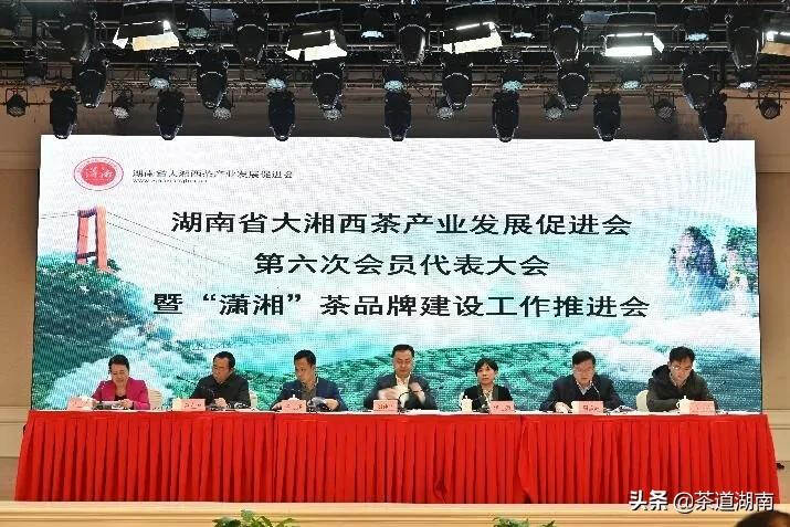 刘仲华当选为湖南省大湘西茶产业发展促进会新一届会长