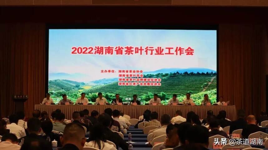 2022湖南省茶叶行业工作会议召开，邵阳获多项荣誉