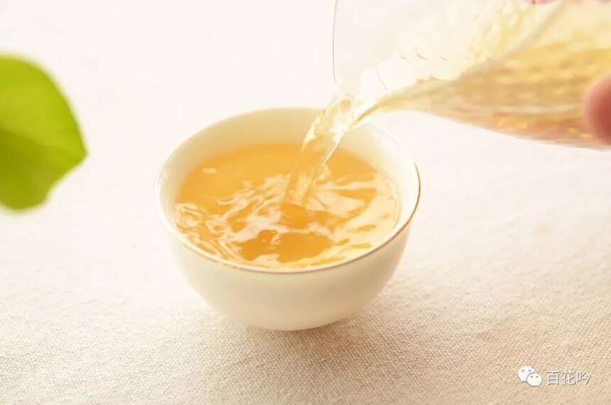 干货丨春节上火解腻,选择生茶还是熟茶?