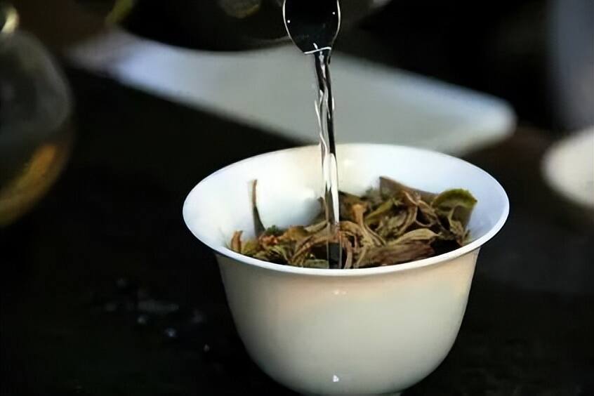 青茶 | 闽北乌龙 --- 武夷岩茶之四大名枞--白鸡冠之岩茶皇后