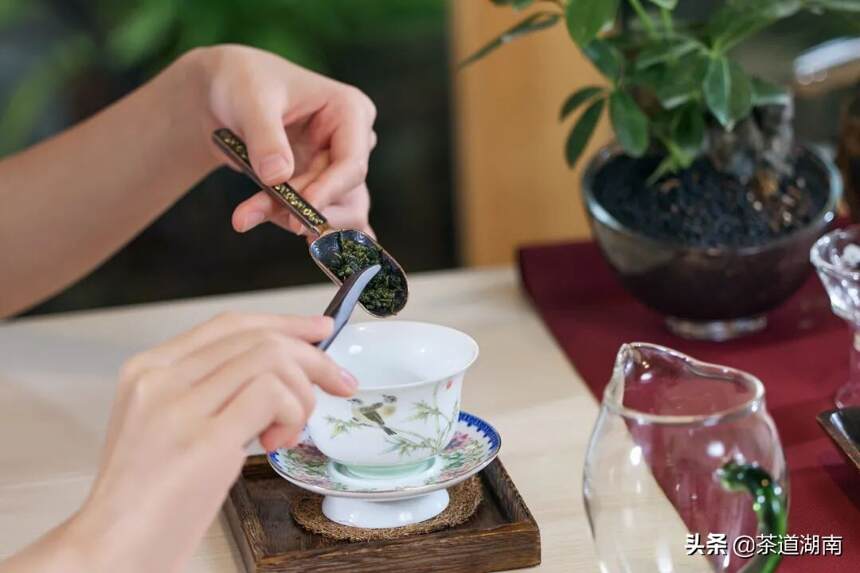 许玉莲：是爱泡茶还是爱喝茶？