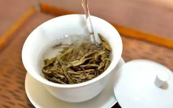 评茶达人「白茶篇」丨什么是白茶？