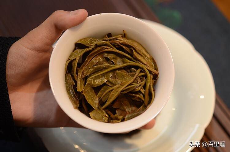“茶叶渣”的小秘密：教你如何从叶底判断一款茶的好坏