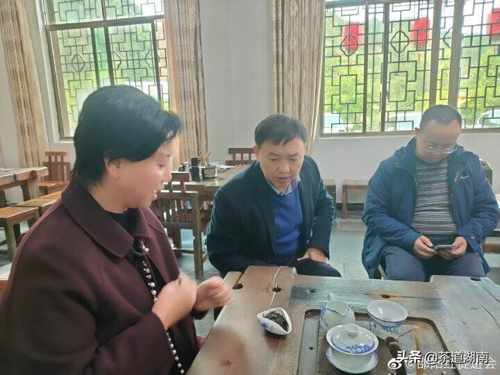 邵阳市社科联领导专家考察古楼茶文化园