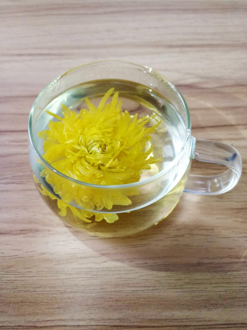 如何鉴别菊花茶是否有硫磺熏过？