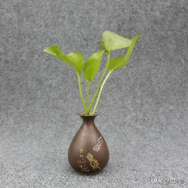 一个花瓶，一株绿植，让简单的装饰变得不一样的环境！