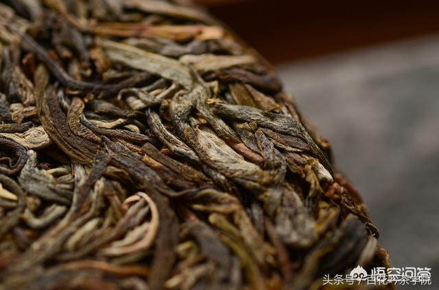 怎么辨别普洱茶是否古树茶，看完这篇文章就懂了！