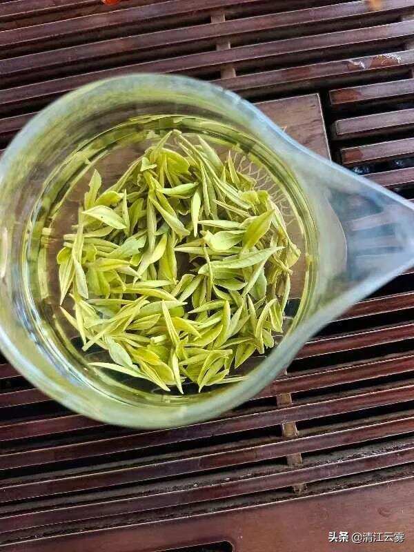 高山安吉白茶：形如兰穗、色泽翠绿、凤形羽片之美