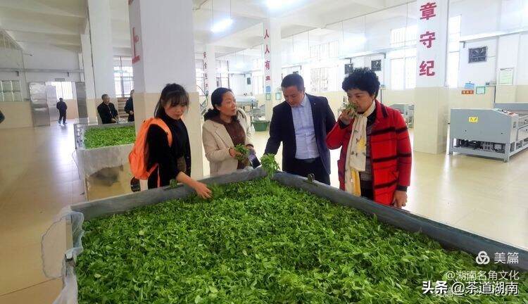 内蒙古草原茶路协会携手新化红茶共拓茶马之路