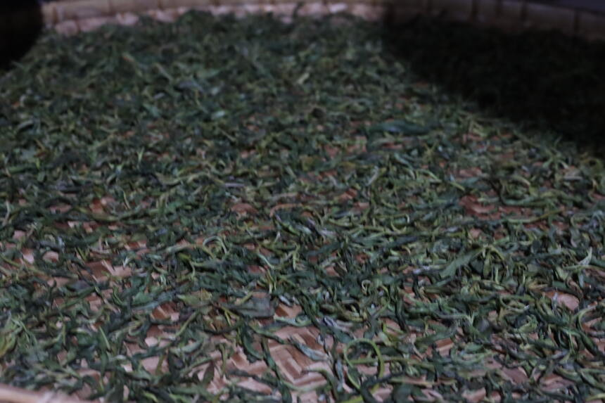 普洱茶中最为讲究的制作工艺，你知道吗？