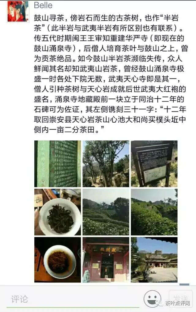 寻茶纪录片第一集：鼓山半岩茶