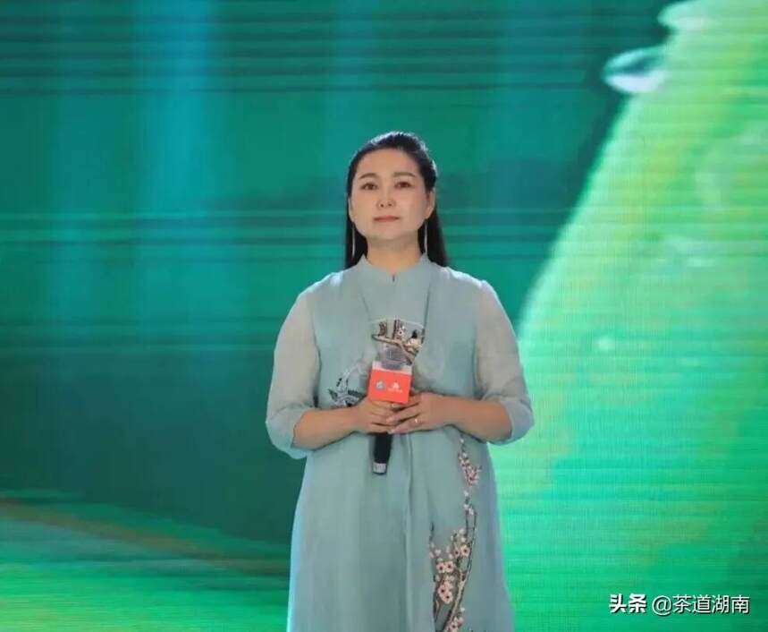 “湖南红茶”之歌MTV大奖赛在长沙举行