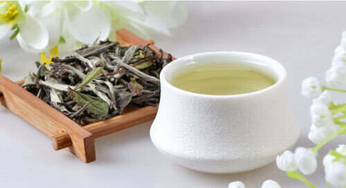 茶理王|白茶的功能性成分及其作用