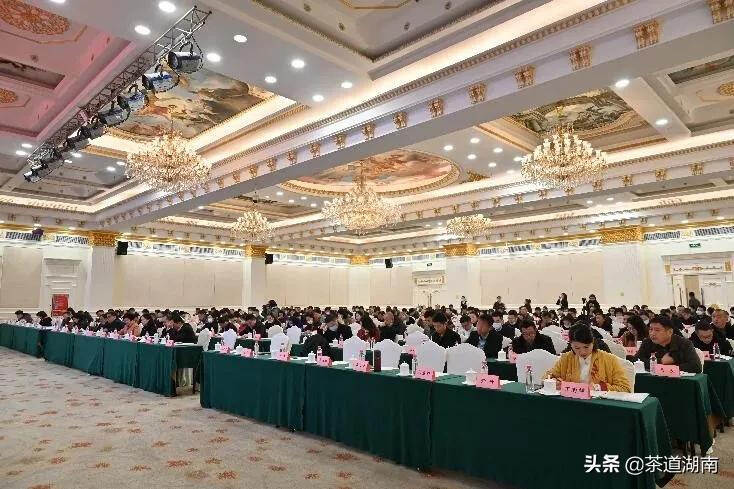 刘仲华当选为湖南省大湘西茶产业发展促进会新一届会长
