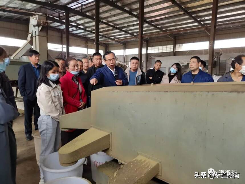 “潇湘”茶高质量发展茶叶精制及拼配技术培训班”在湖南宁乡举办