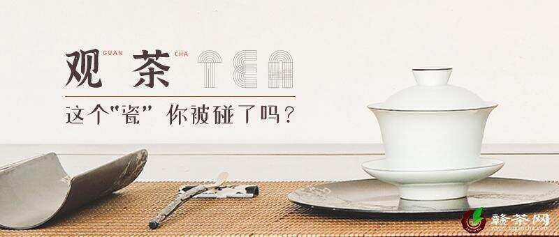 「观茶」这个“瓷”，你被碰了吗？