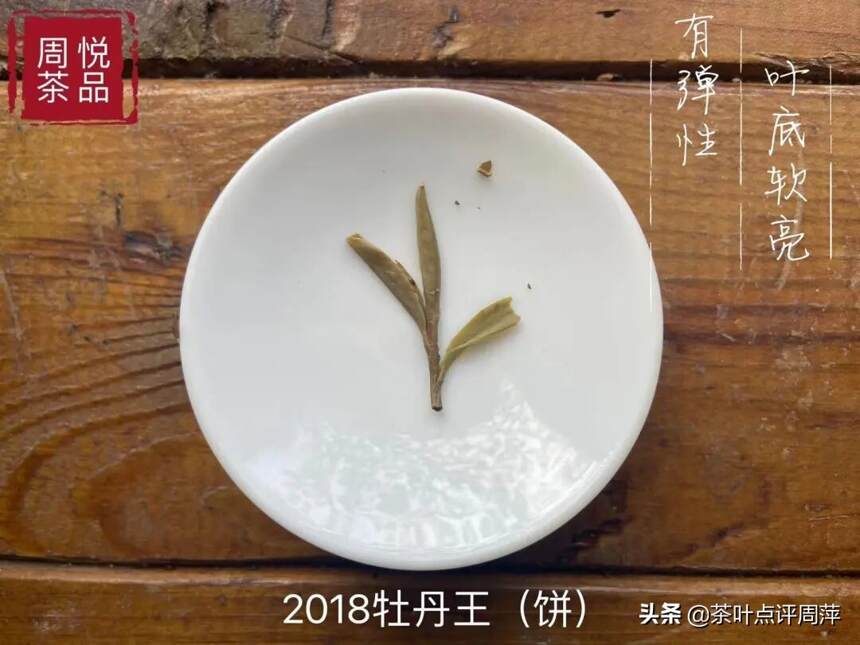 2018牡丹王：似谦谦君子，温润如玉