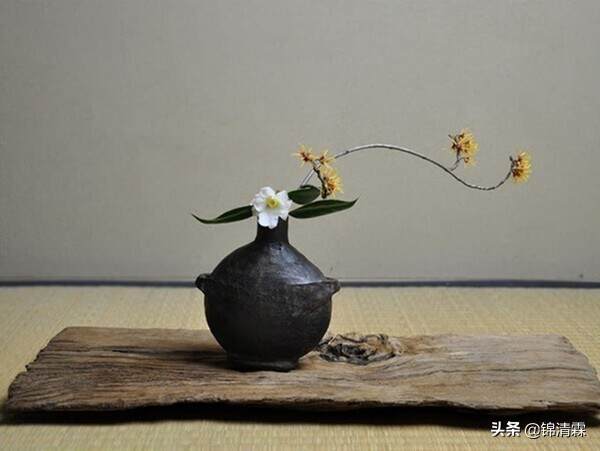 源于中国的日本茶道怎样了，带你了解日本茶文化发展史
