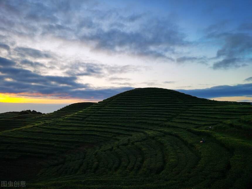 若说品茶，苏东坡算得上是品茶美学意境的最高体现