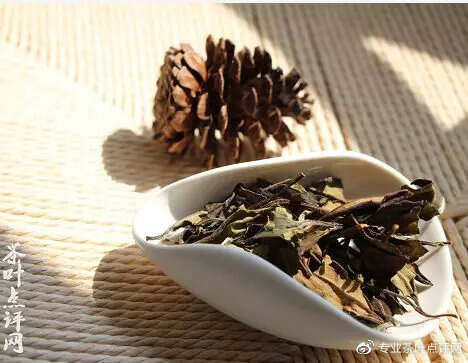 茶评 | 不同品种不同年份白茶审评
