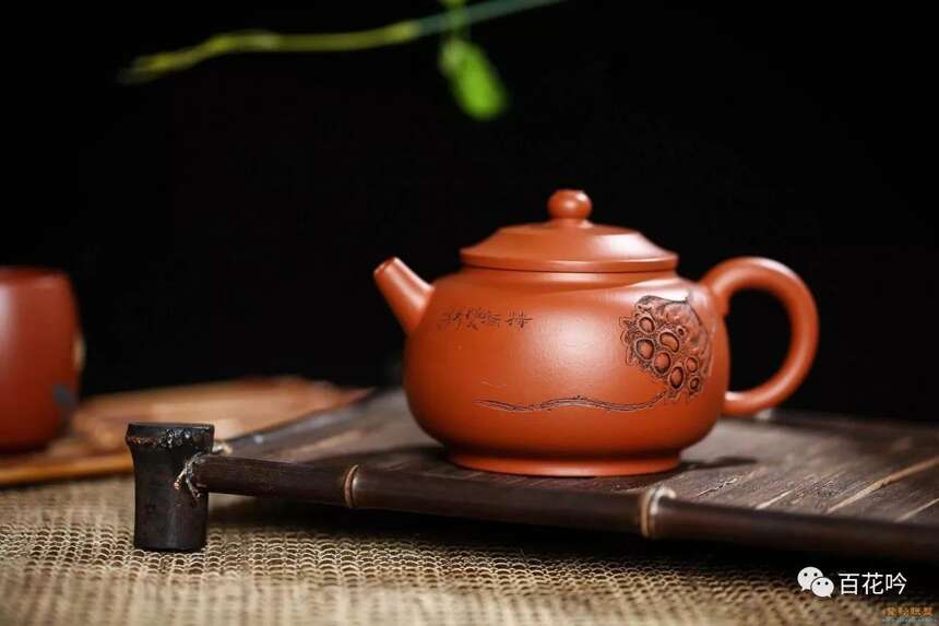 冲泡知识丨什么茶具能冲泡出最好的熟普？