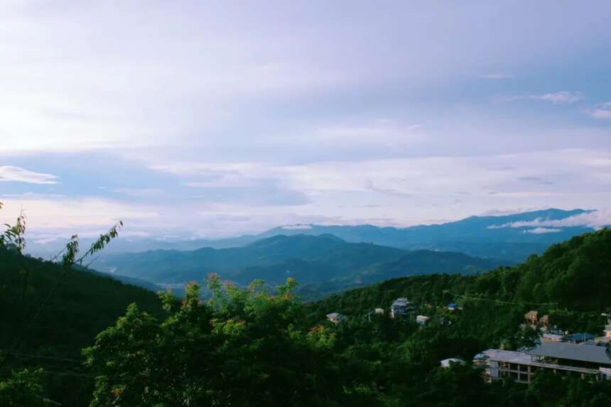 行走茶山，因笋得名·因茶出名的南糯山有多美？