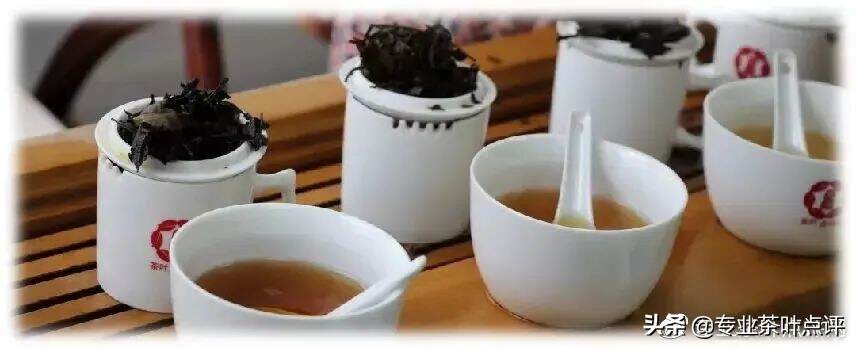 辨识白茶 | 白茶的感官审评