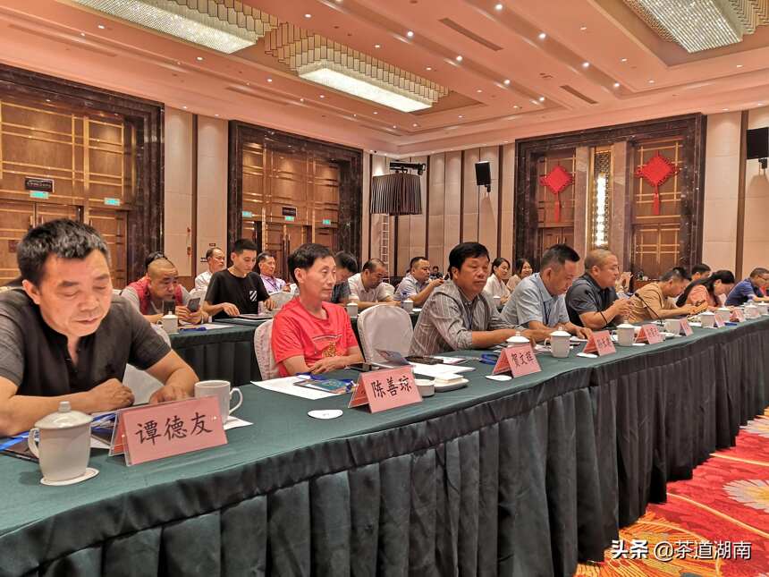 隆回县茶产业高质量发展研讨会举行