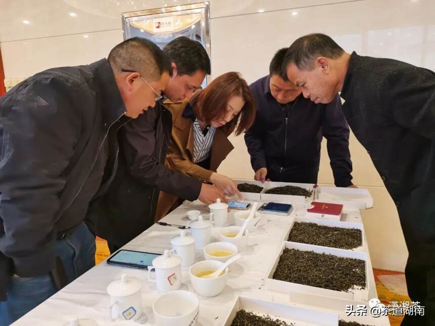 “潇湘”茶高质量发展茶叶精制及拼配技术培训班”在湖南宁乡举办