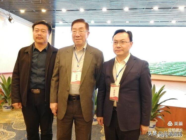 “湖南月光茶业”在第十三届湖南省茶业博览会上斩获两项荣誉