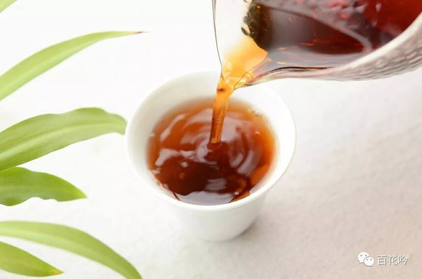 干货丨普洱茶的“最优冲泡定律”，成就一盏好茶！