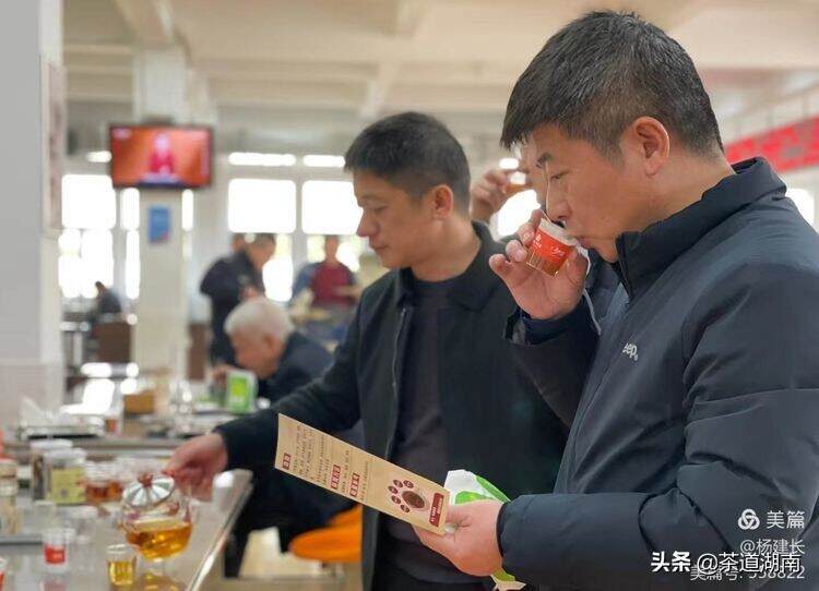 新化“月光红”系列茶叶上架湖南省政府办公厅机关服务中心受好评
