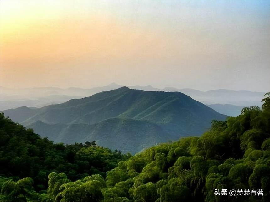 中国十大绝美茶山，你去过几个？到过三个就是幸运儿
