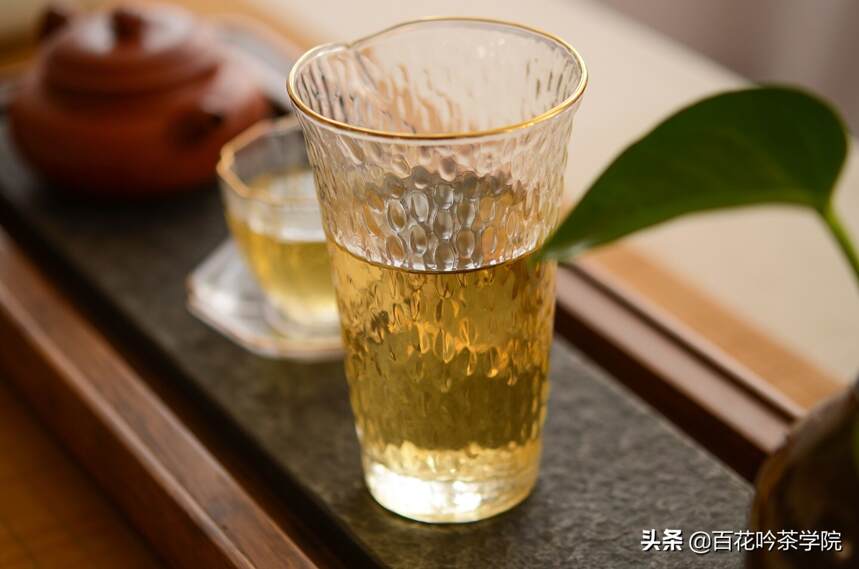 春茶季遵循这3个规律，普洱茶入门小白也能买到好茶！