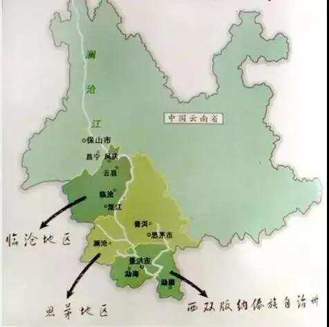 大叶种茶树主要分布在云南那些地方？