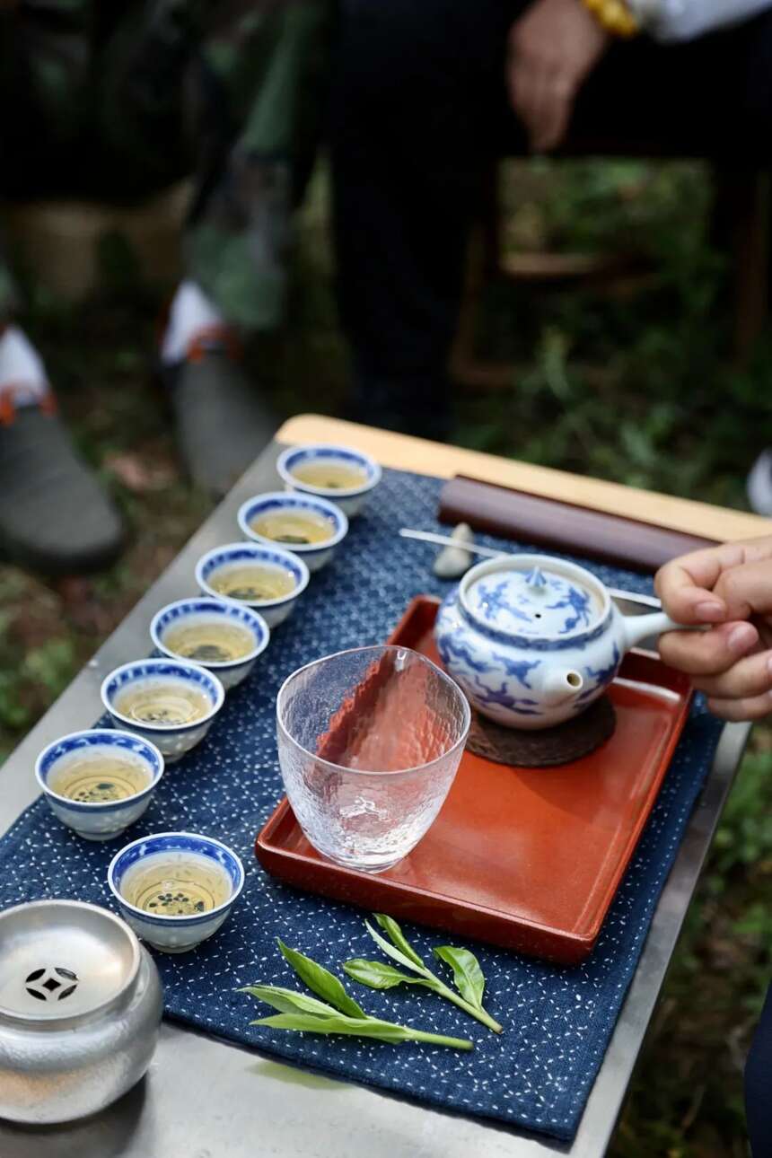 以润茶识 | 同样淋过雨，为何春茶品质最优，夏茶却是“雨水茶”