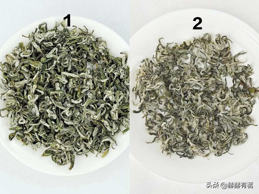 蒙顶甘露与奉化曲毫的风味差别，卷曲形名优绿茶的风味特点